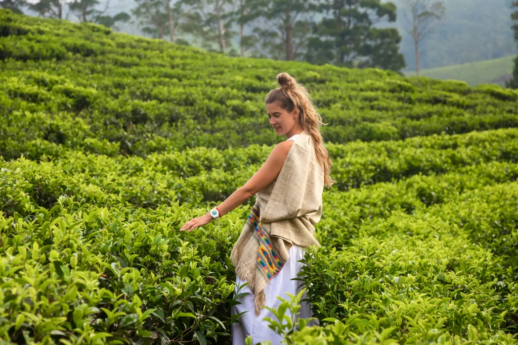 Navitas Lanka About Us 9